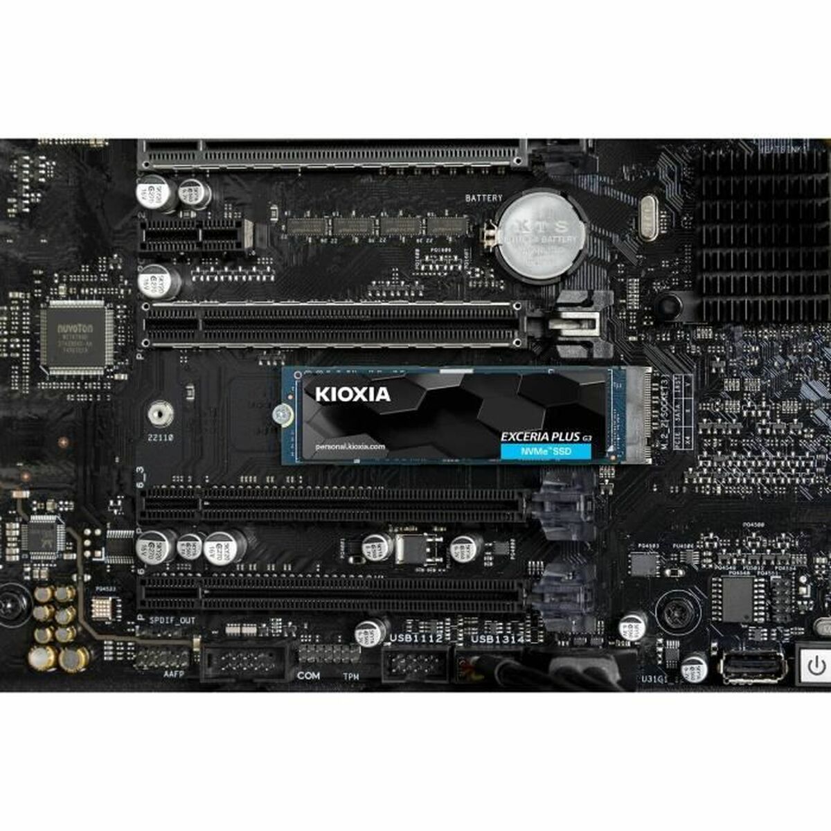 V2H7981C6C73E039492A636FD8ACEC0C155R5879887P4