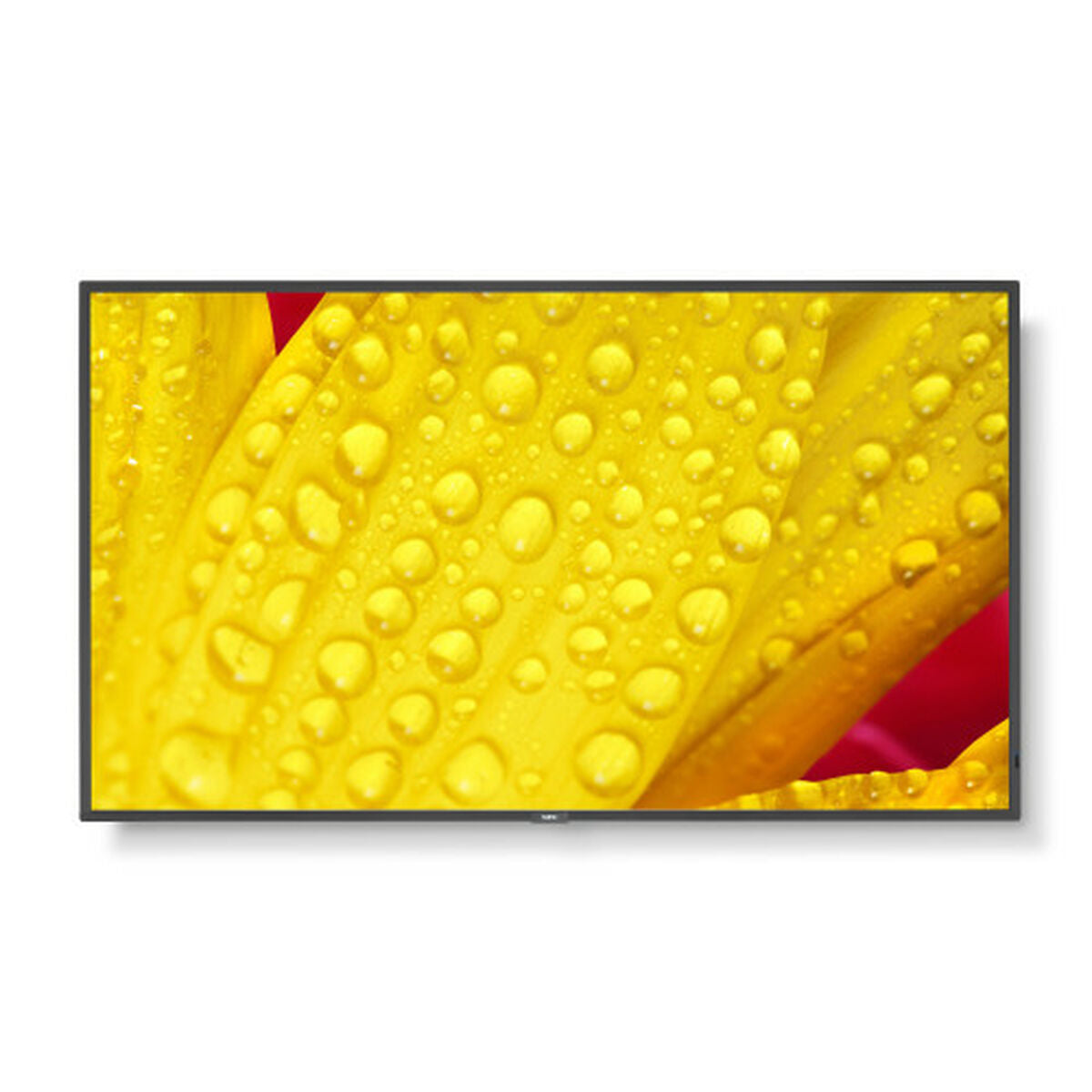 V1HCA8CA13B3FFF00610500679016E98A83RP1