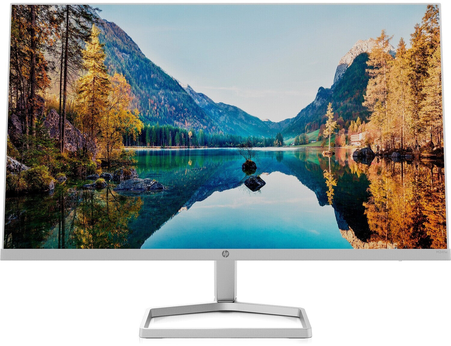 Full HD Monitor HP M24fw 23.8" Grau