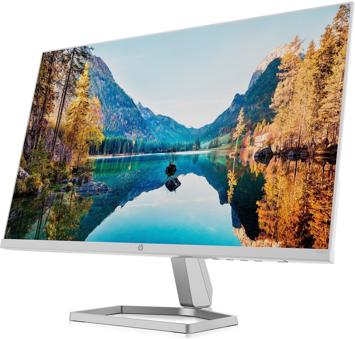 Full HD Monitor HP M24fw 23.8" Grau