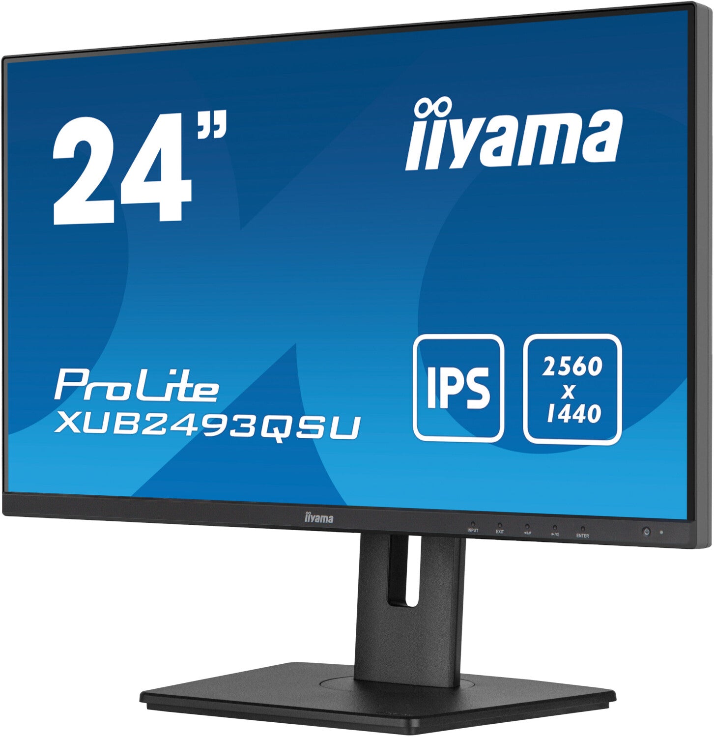 WQHD Monitor Iiyama ProLite XUB2493QSU-B5 23.8" LED IPS Flicker free