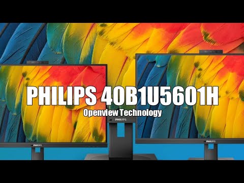 WQHD monitor with webcam Philips 40B1U5601H 40" 100Hz 4ms IPS HDR10 LCD Flicker free