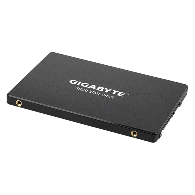 Externe Festplatte Gigabyte GP-GSTFS31100TNTD 2,5" SSD 1 TB Schwarz