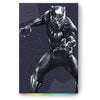 Externe USB-Festplatte Seagate MARVEL BLACK PANTHER Special Edition 2TB (STLX2000401)